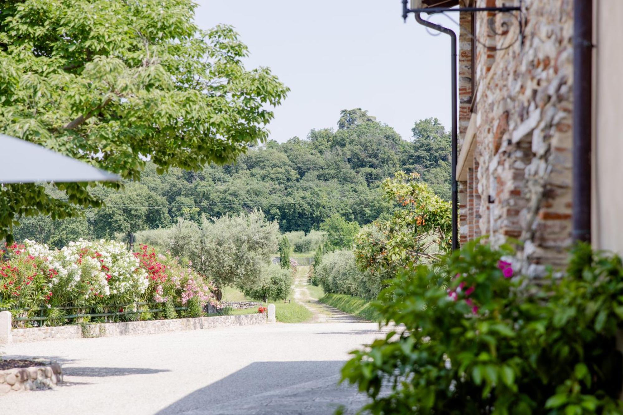 Agriturismo Sambuco Pastrengo Extérieur photo