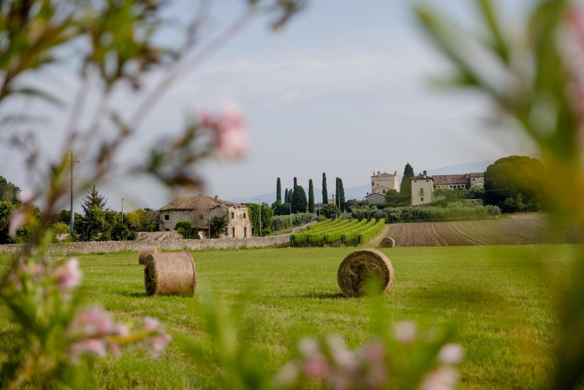 Agriturismo Sambuco Pastrengo Extérieur photo