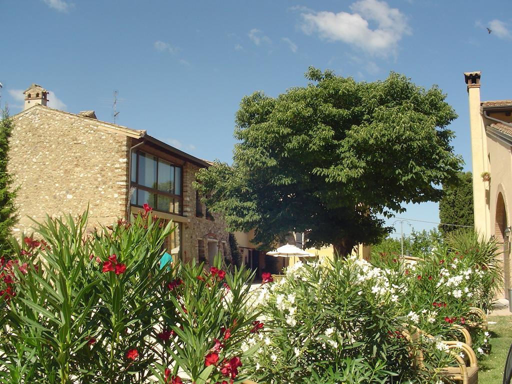 Agriturismo Sambuco Pastrengo Extérieur photo