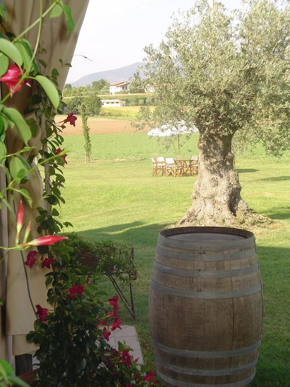 Agriturismo Sambuco Pastrengo Extérieur photo